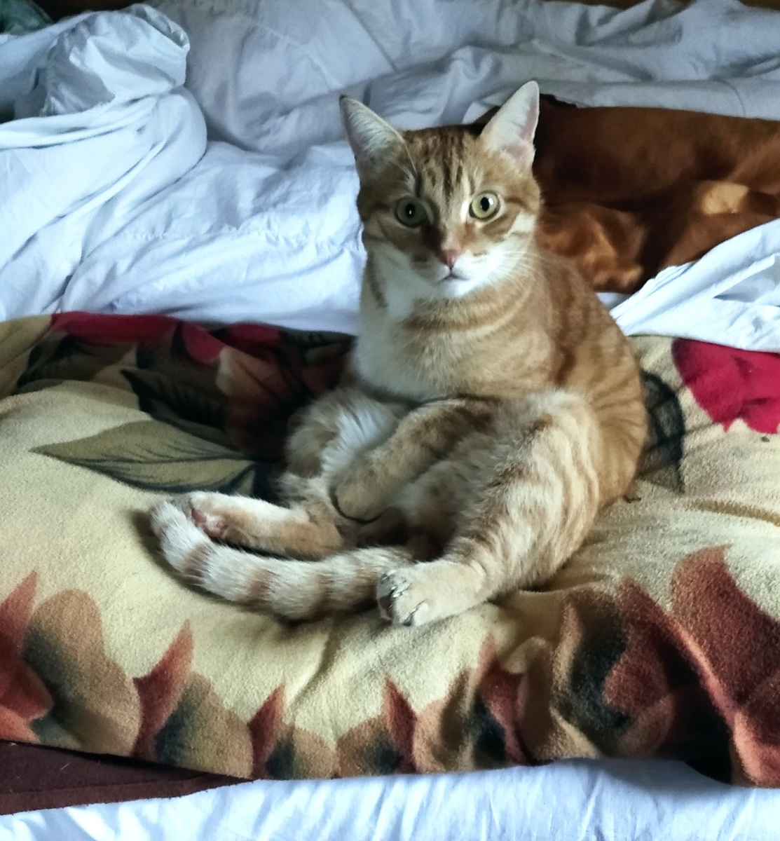 Личное фото