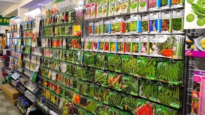 Фото с pinterest.com