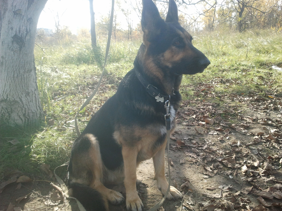 Фото автора