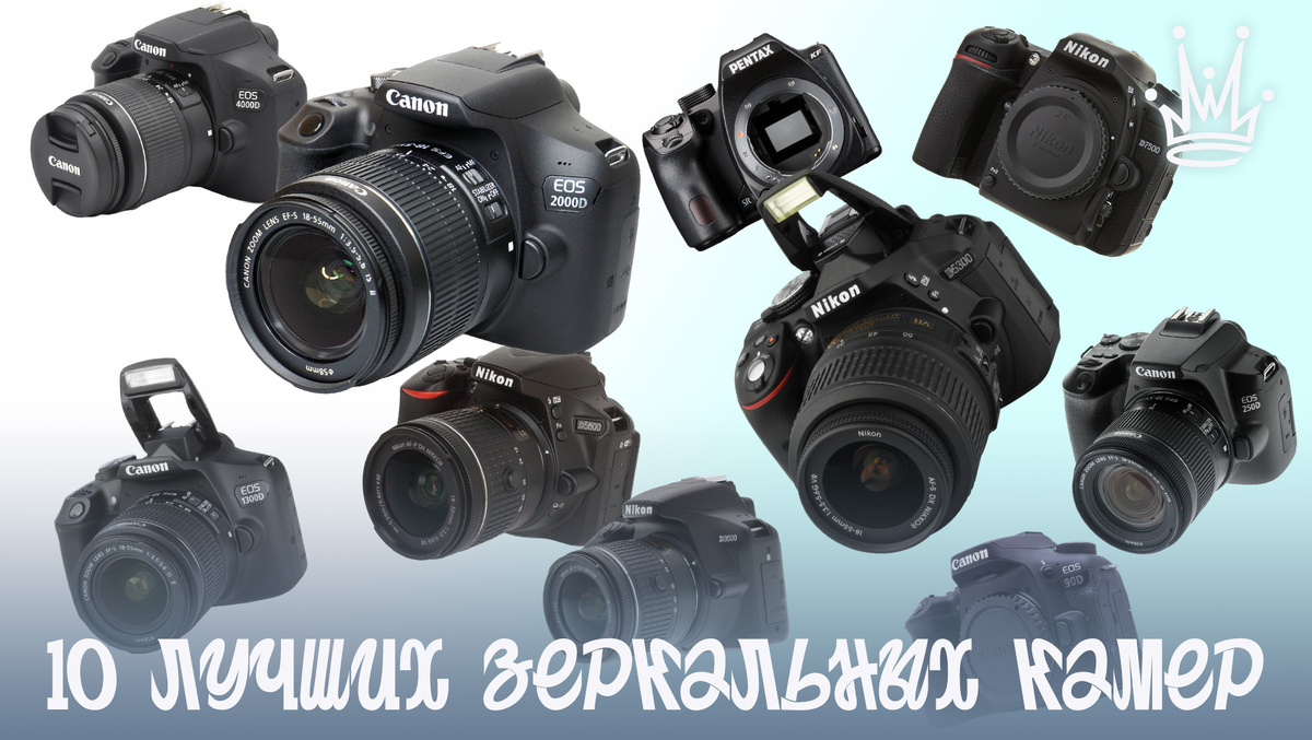 10 зеркальных камер для начинающих фотографов