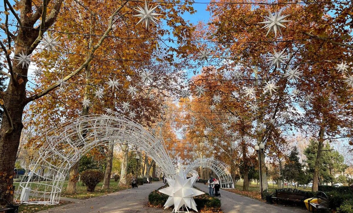 Фото: "Утренний Юг"