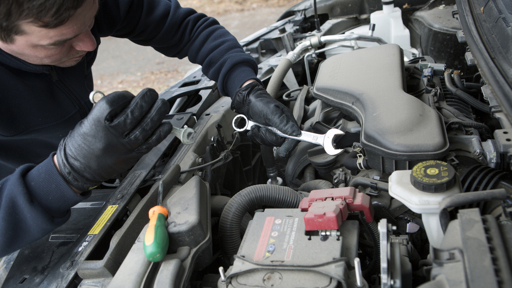    Nikolay Gyngazov/Globallookpress