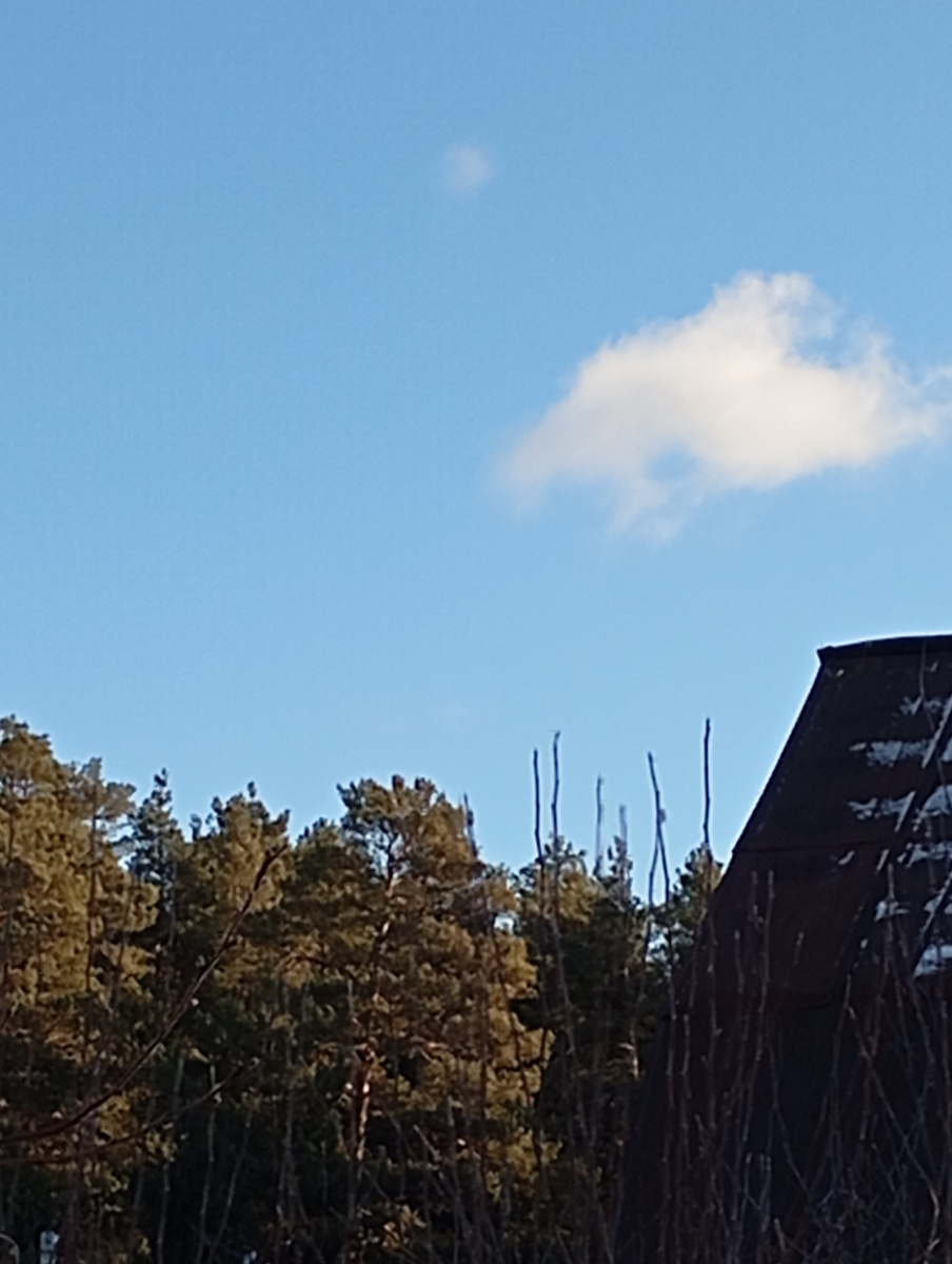 Это облако будто дельфин