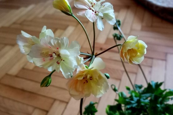 Благодаря ей и появилась эта сатья на букву... Ё!😆