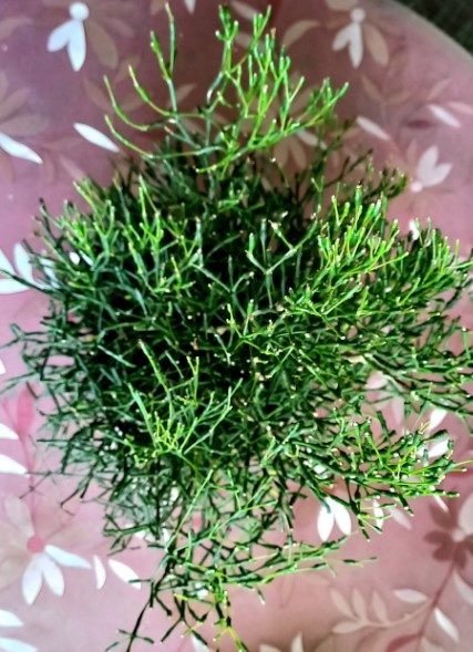 И о неё- тоже...