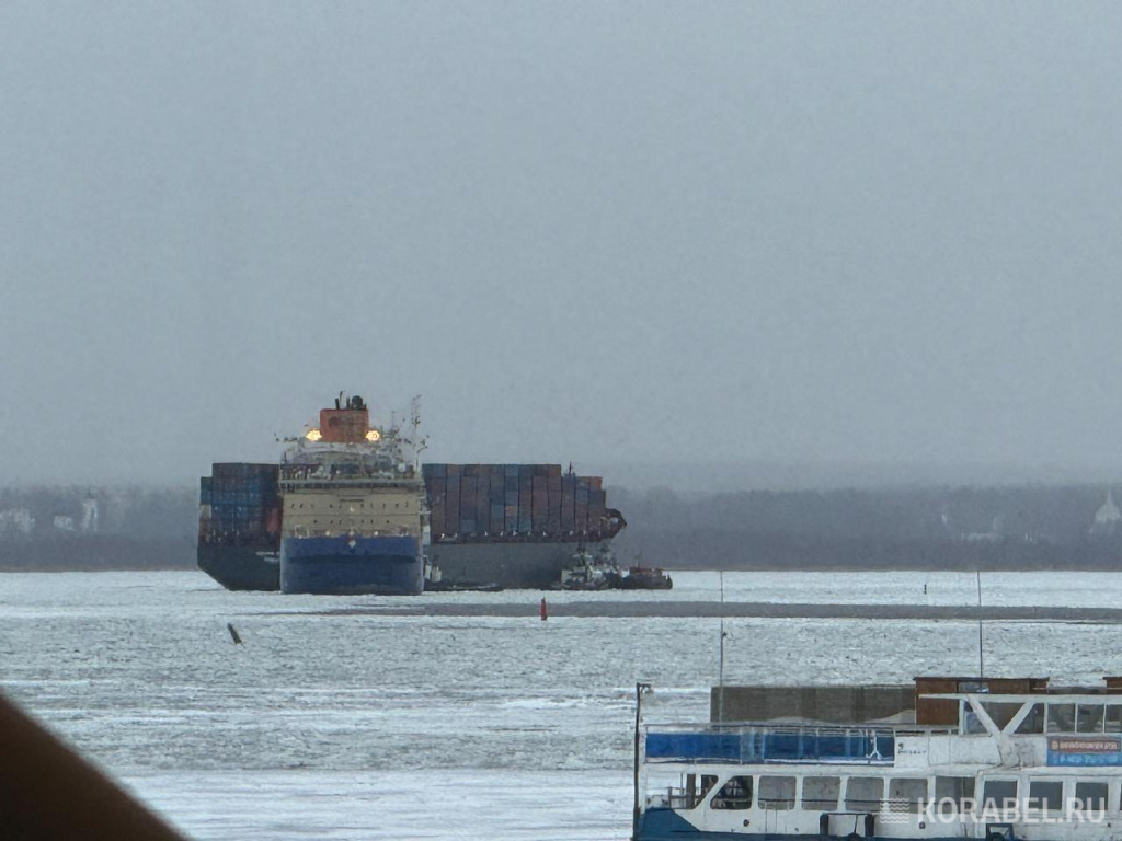 Контейнеровоз "Flying Fish 1" / Фото: Корабел.ру  📷
