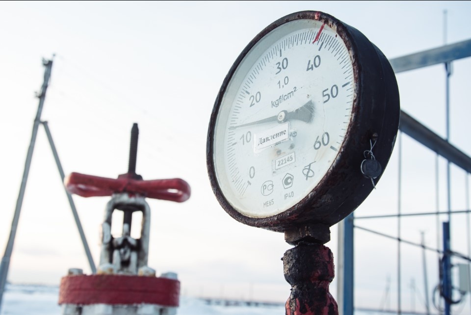    Фото: Oleg Spiridonov/Business Online/Globallookpress