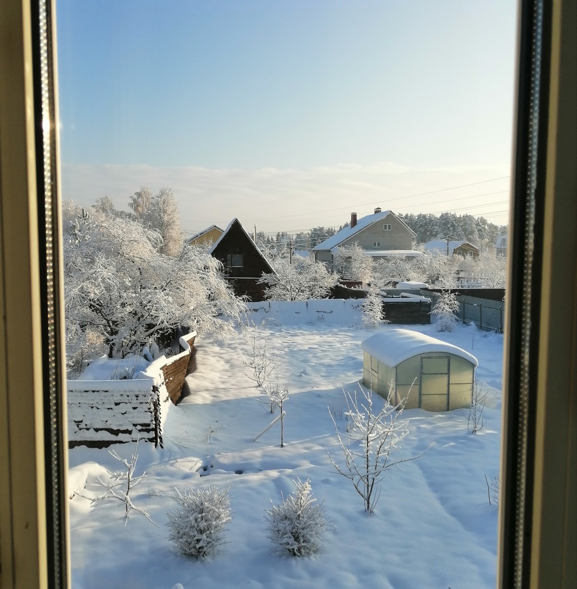 Вот какой нужен декабрь – пушистый, белый, заиндевелый. Хотелось бы таким похвастаться, но увы. 