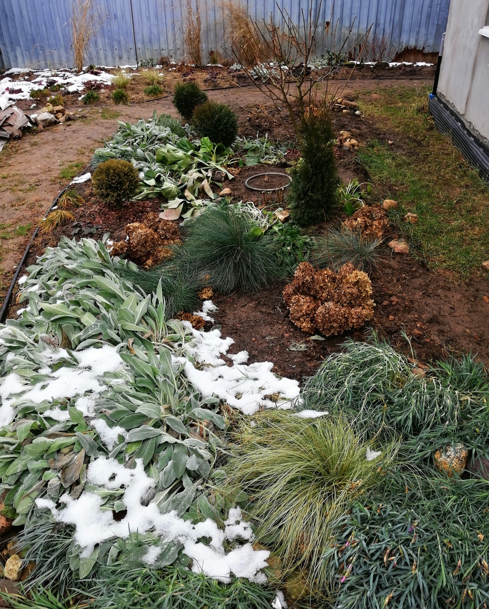 Мои цветники на 2 декабря 2024