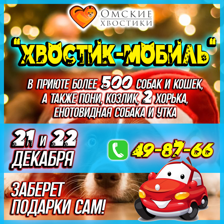 Подарите им свою заботу и любовь!