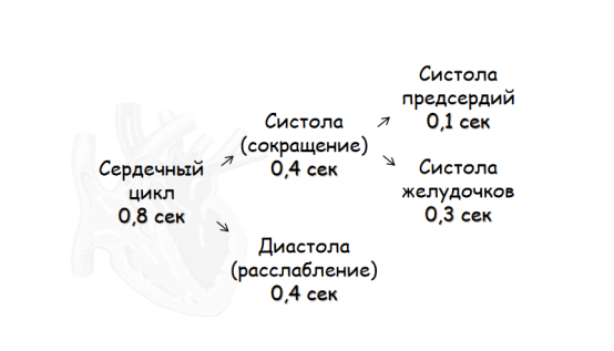 Данные округлены. 