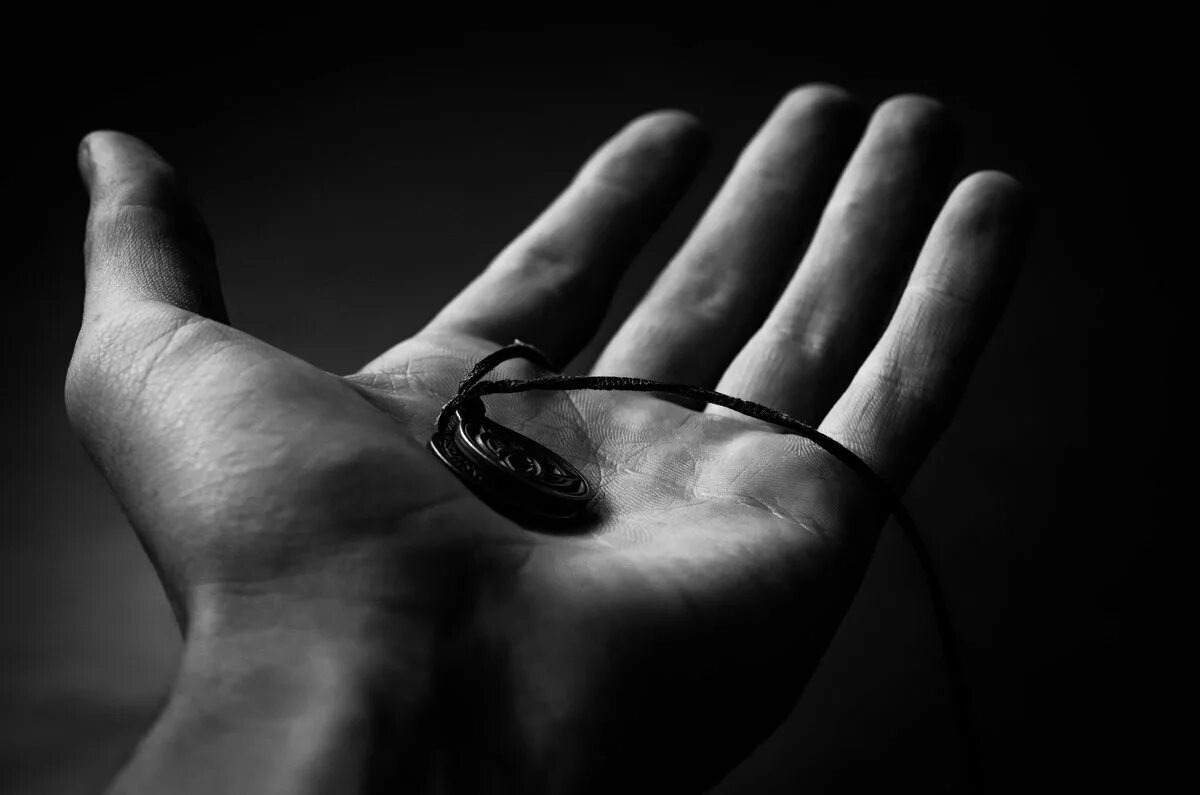 Изображение взято из открытых источников интернета. 