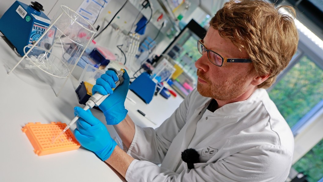    Matthias Bein/dpa/Globallookpress