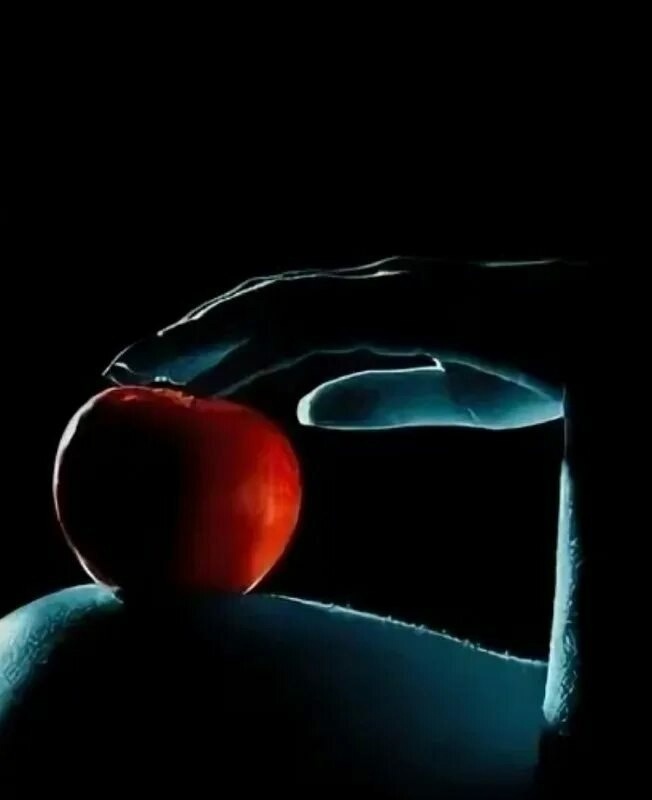 Картинка с просторов интернета