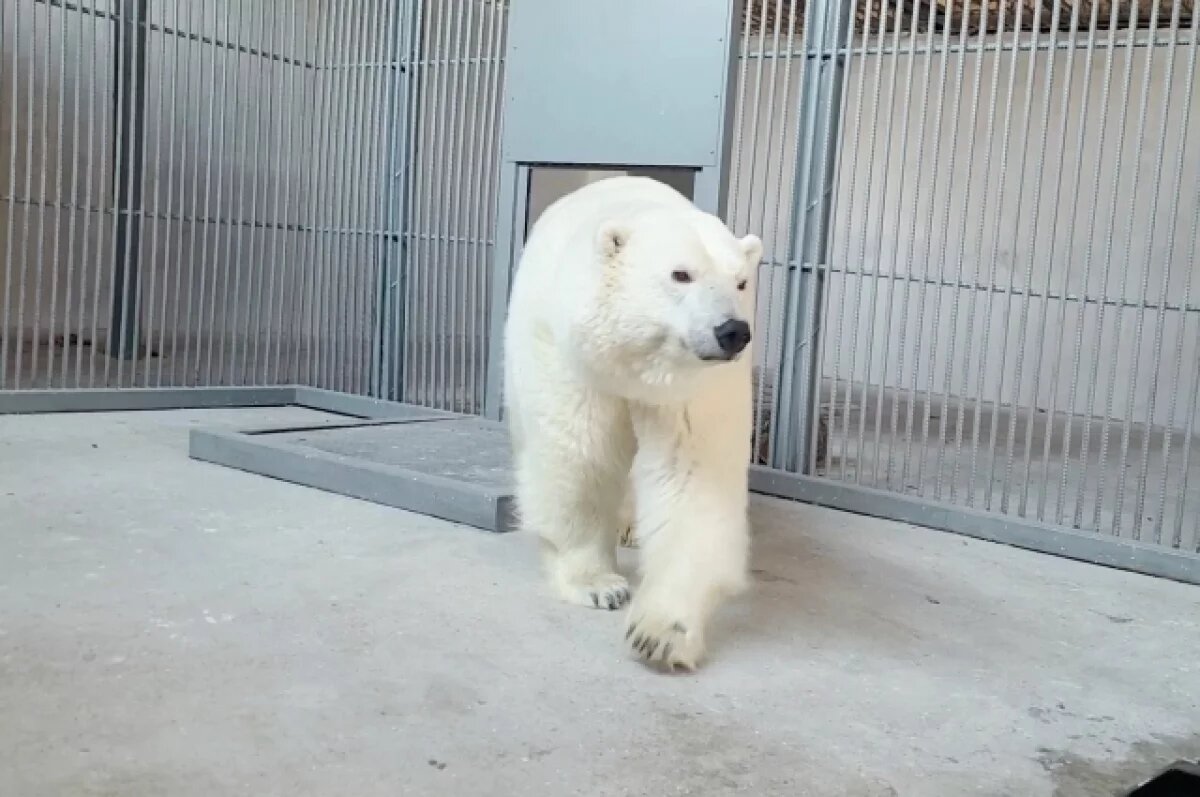    Омичей приглашают на встречу с Думкой