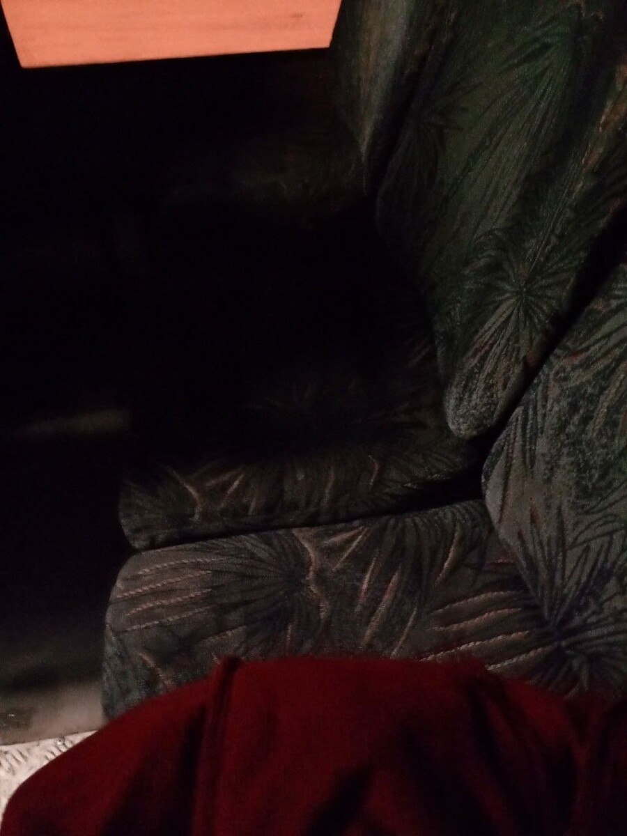    Опасное сидение в автобусе. Источник: t.me/incident22