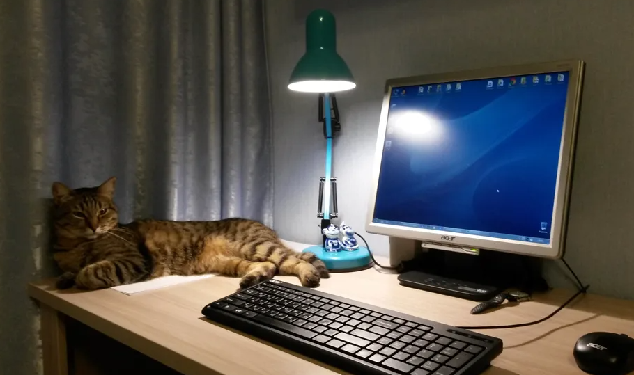 Яндекс картинки