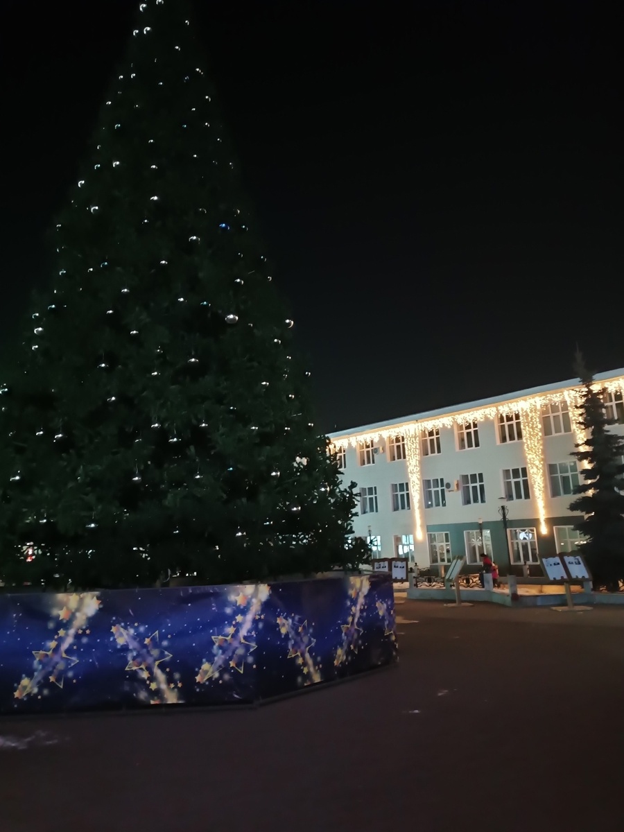 Первая елка