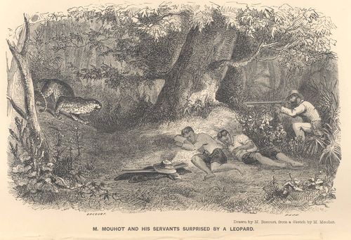 Рисунок по эскизу Генри Муо (1864). Британская библиотека