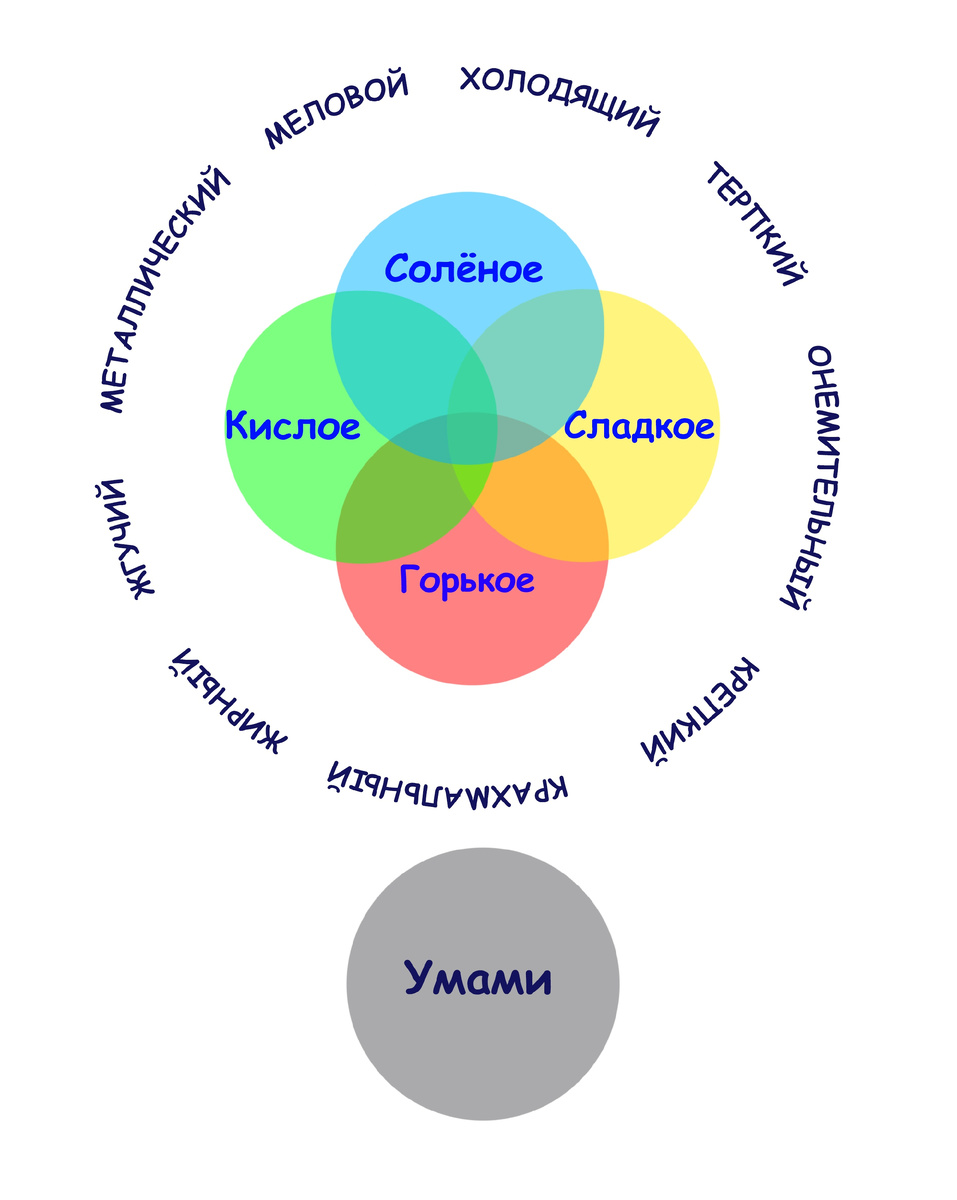 Систему вкусовых отношений можно представить в виде круга, подобно цветовому кругу,  представляющему основные и дополнительные вкусы. 