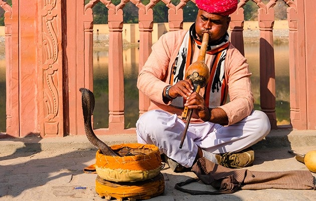 Змея любит танцевать