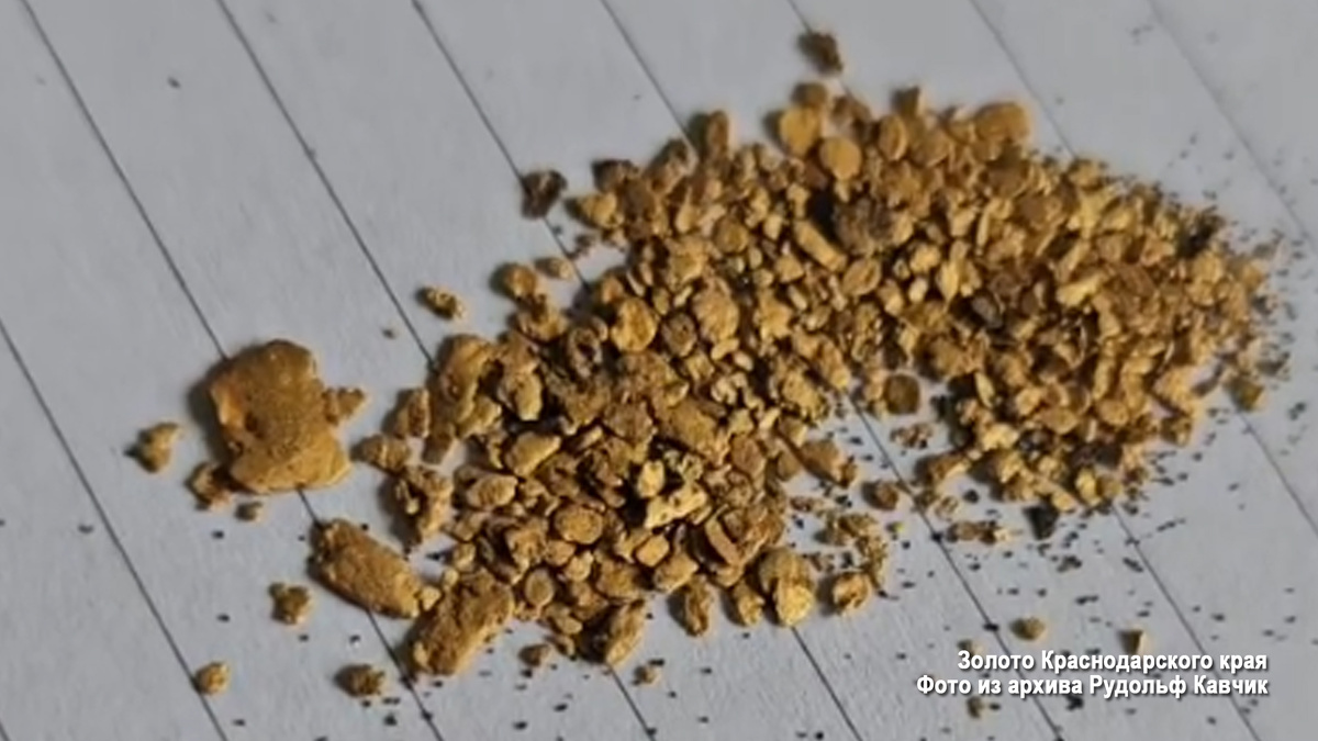 Золото Краснодарский край. Шлиховое золото добытое старателем. 