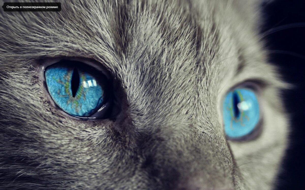 Источник: Яндекс картинки