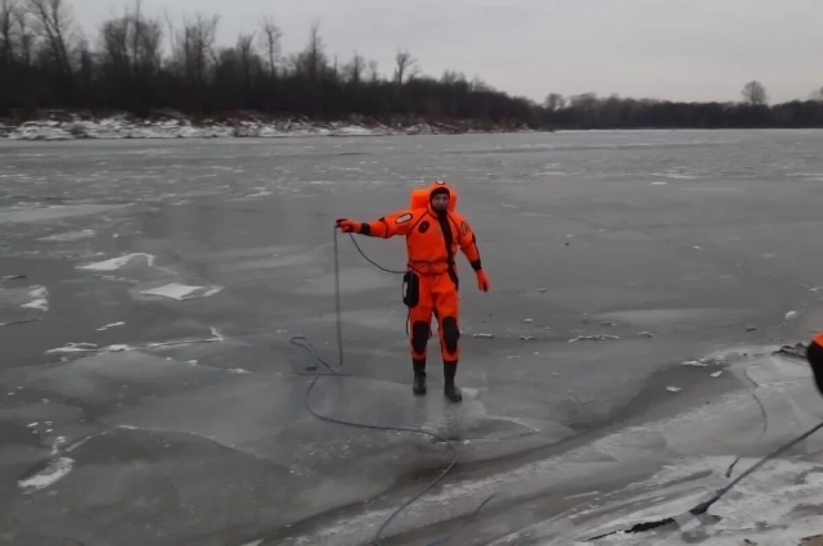    В Уфе спасатели вытащили из полыньи в реке Белой собаку