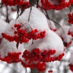 Температура ночью в Иркутской области может опускаться до -36,-38 градусов. К слову, понижение будет фиксироваться и в других регионах Сибирского федерального округа. Причина – нарастающие влияние Восточно-Сибирского антициклона. Об этом сообщил ТАСС научный руководитель гидрометцентра России Роман Вильфанд.