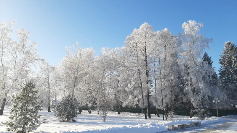     Барнаул сказочный. altapress.ru