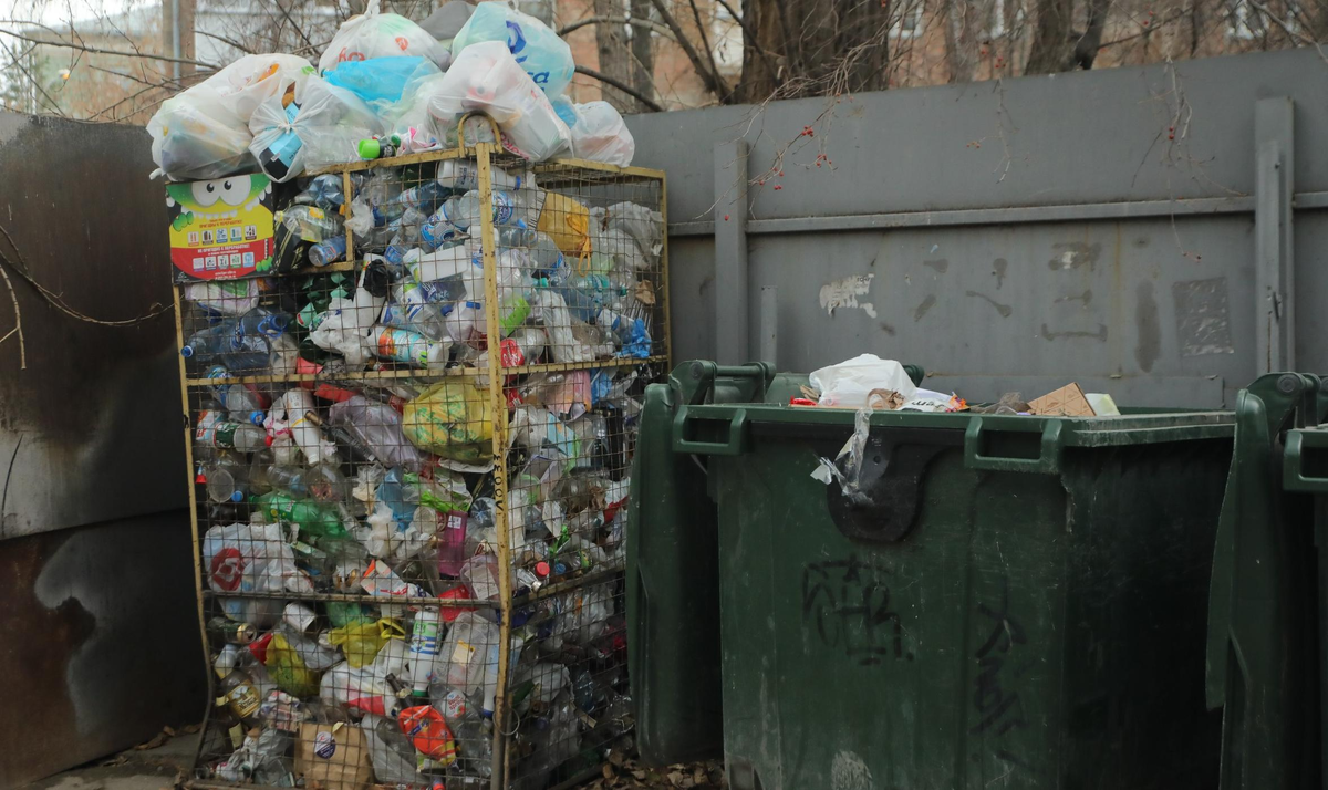 Фото: nsknews.info