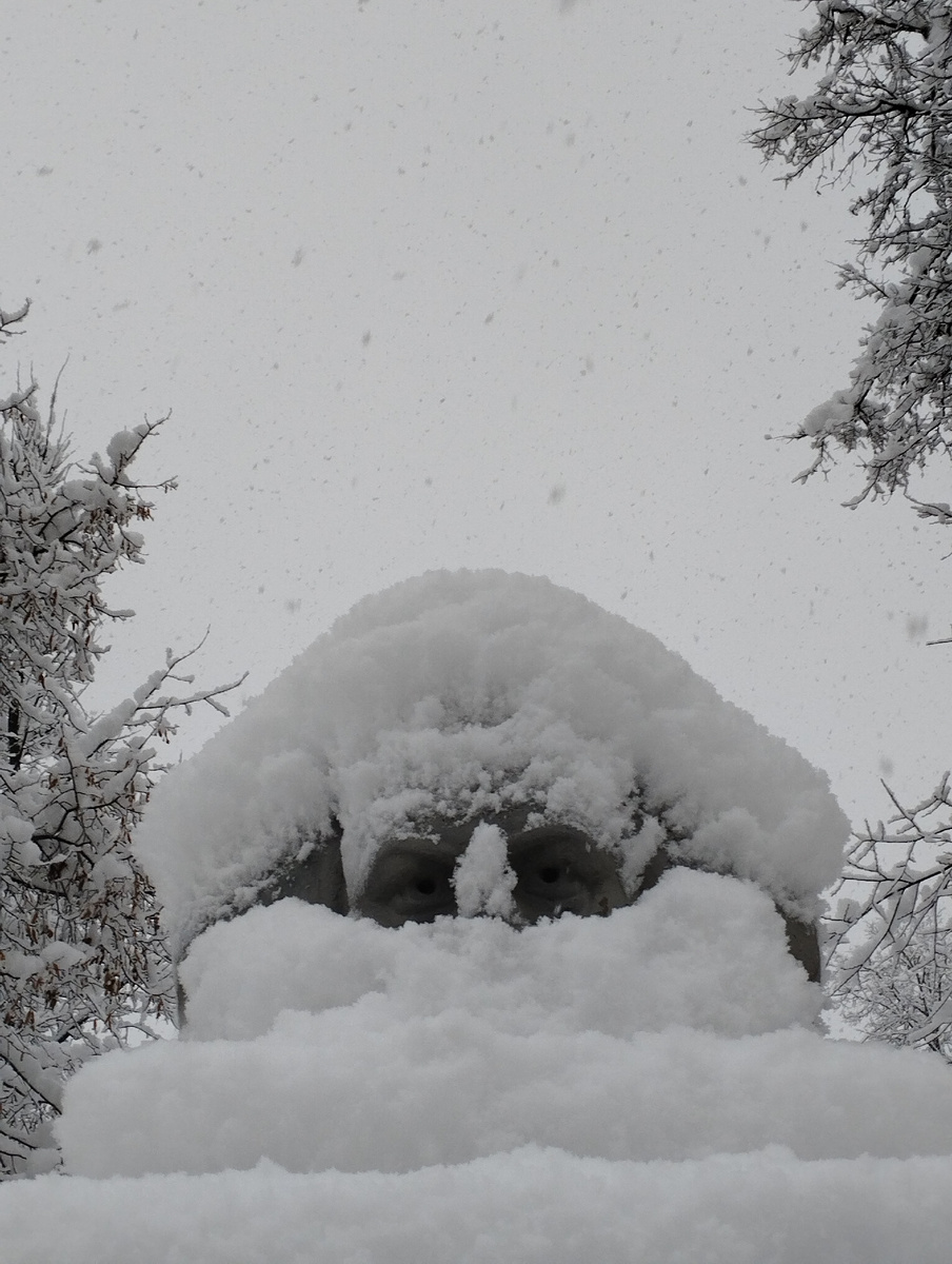 Маркс - Дед Мороз