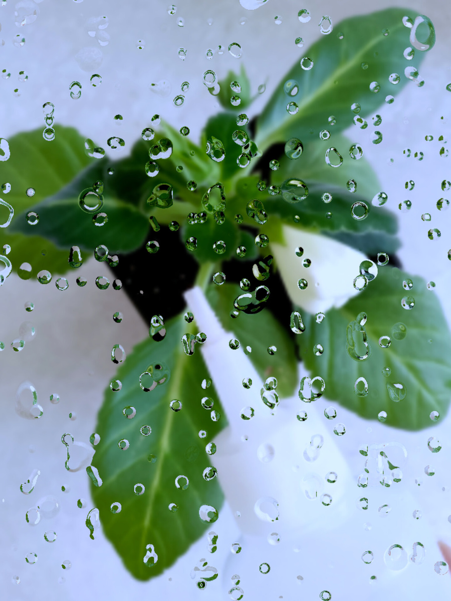 Чем меньше бутылочка, тем меньше вероятность перелить.. хотя это спорно...