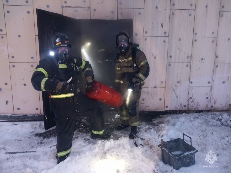    Пожар в поселке Новый. Источник: t.me/mchs_altkray