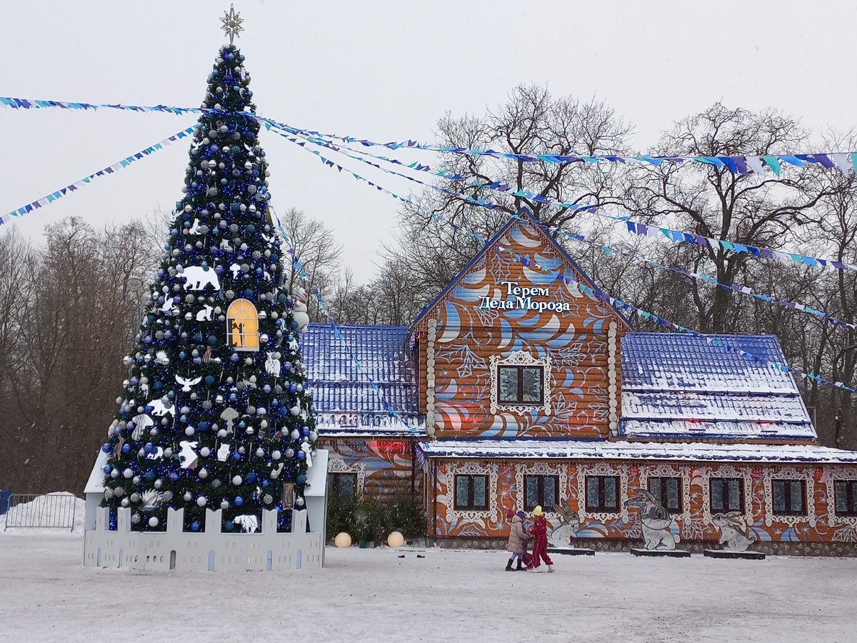 Фото автора статьи.
