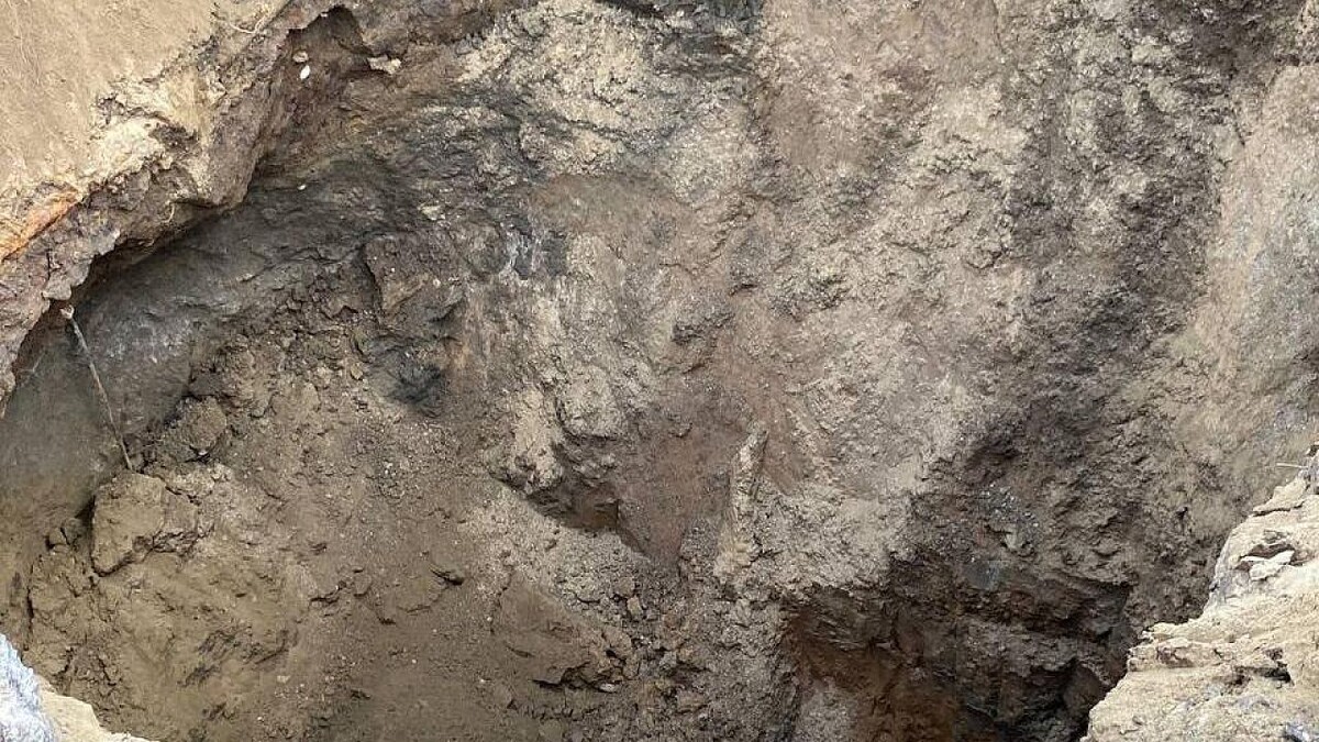    Фото: телеканал «Краснодар»