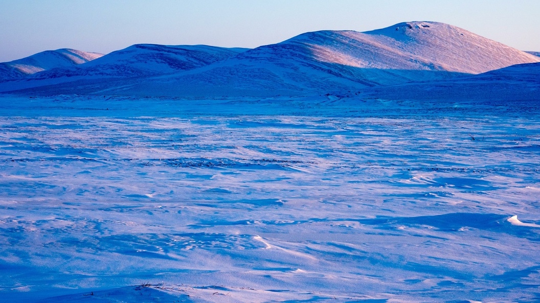    © Serguei Fomine/Globallookpress