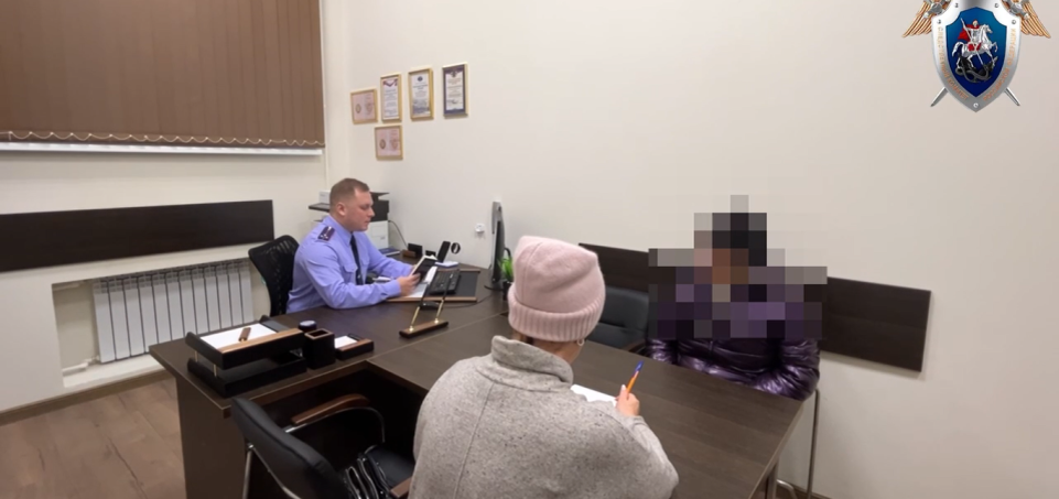    В Нижнем Новгороде мать положила пятимесячную дочь в снег и сняла видео. Источник: СУ СК России по Нижегородской области