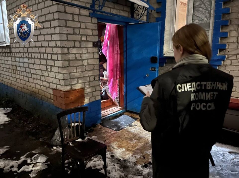    В Нижнем Новгороде мать положила пятимесячную дочь в снег и сняла видео. Источник: СУ СК России по Нижегородской области