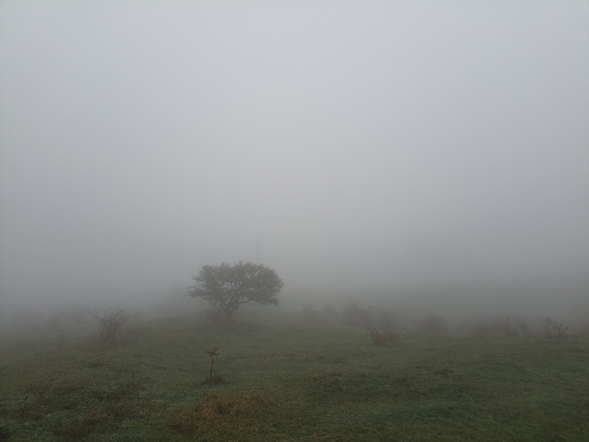 Где-то там наш участок)