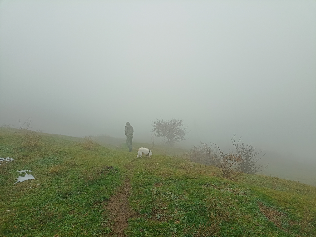 Даже собака от нас далеко не убегает. Боится потеряться, наверное)