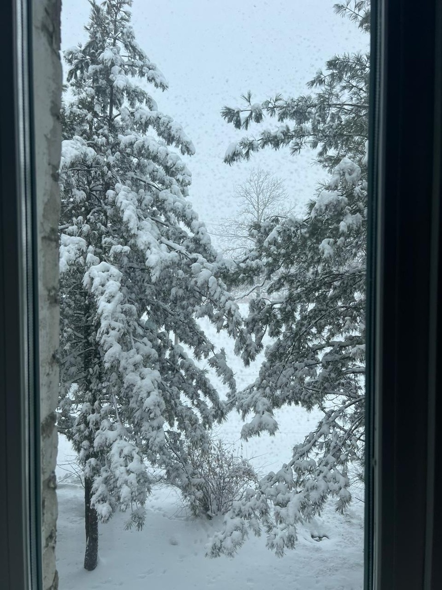     Источник: vostokmedia.com