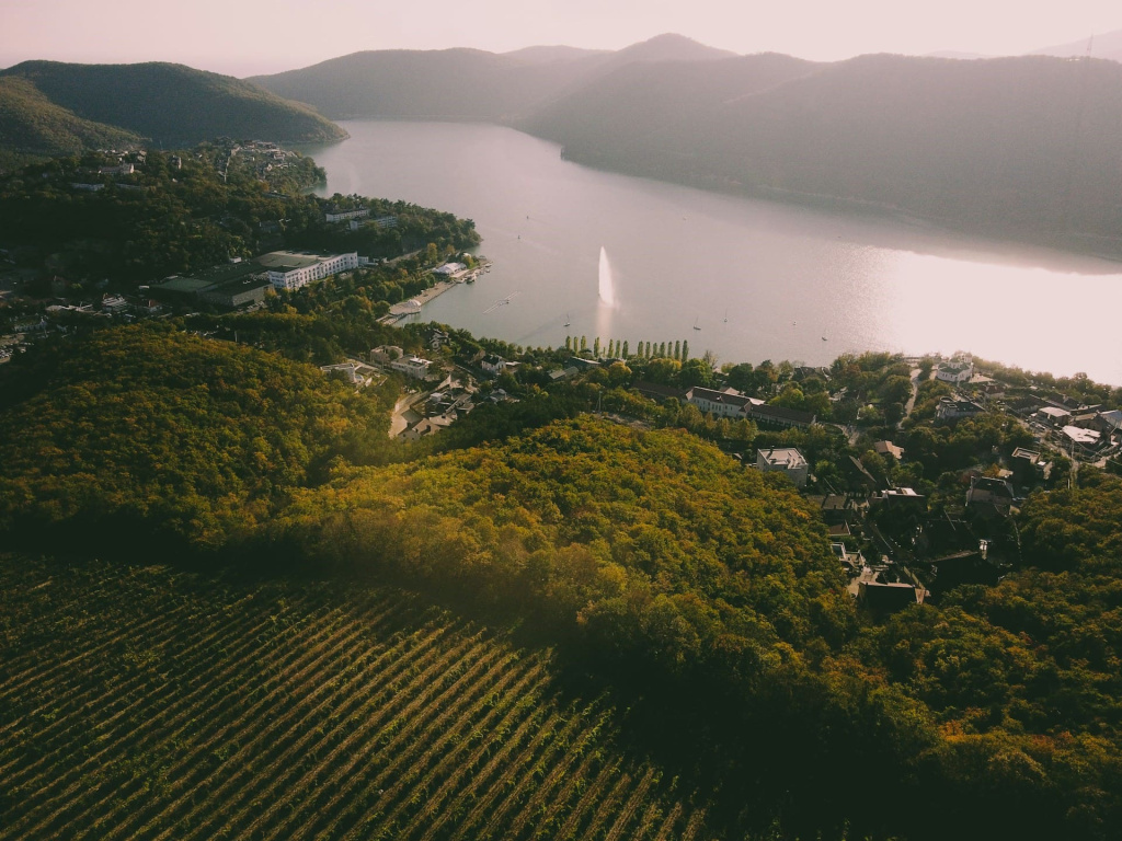 Один из виноградников Абрау-Дюрсо с высоты птичьего полета.