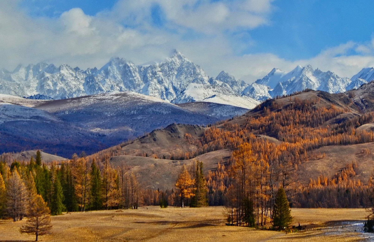 Фото Владимира Меркулова