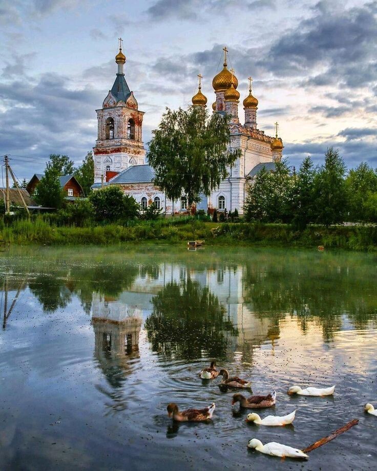 фото из открытого доступного источника сети интернет