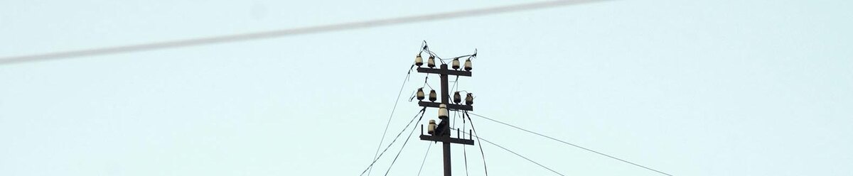    Фото: Сергей Егоров