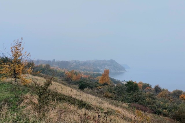   Фото из архива Калининград.Ru