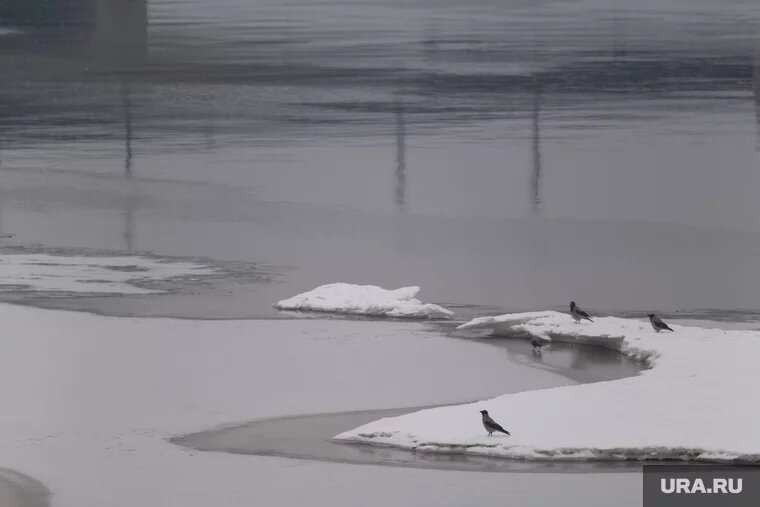 Блины образуются из-за температуры и течения реки. Фото: Руслан Яроцкий © URA.RU