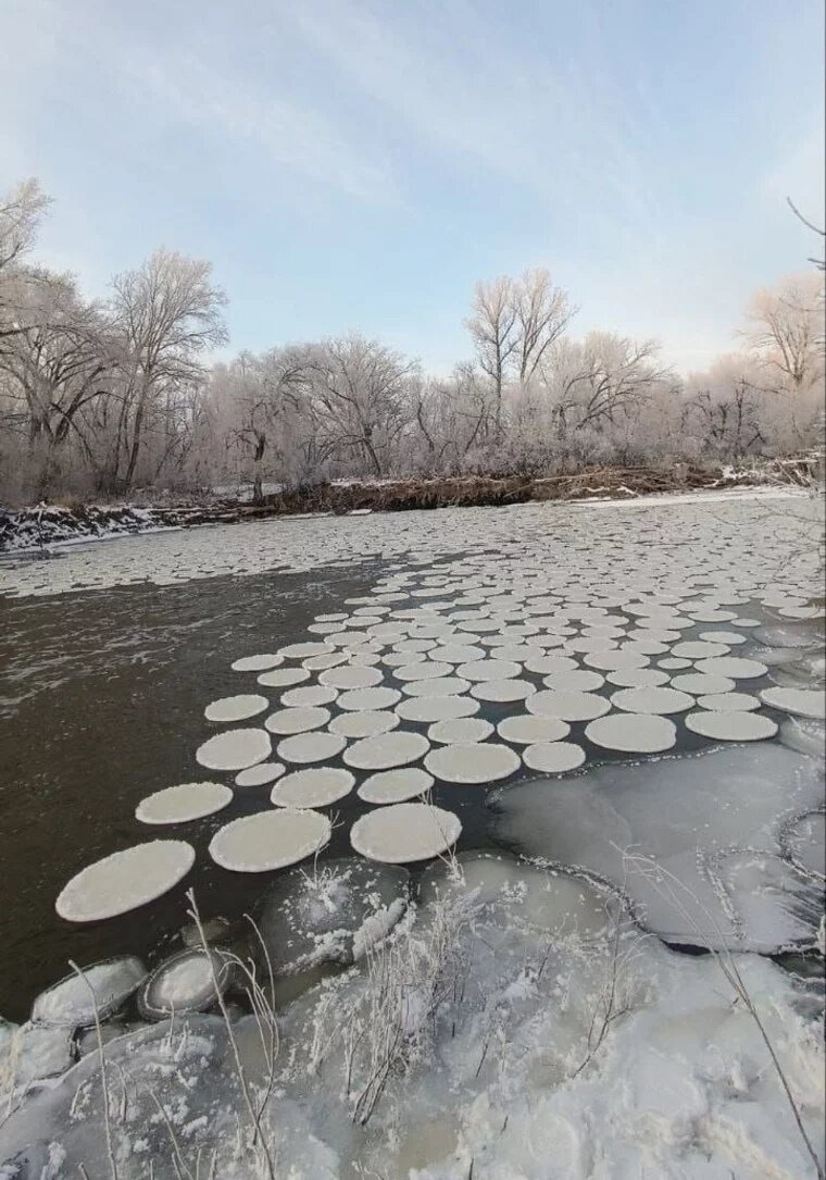 Ледяные блины появились в Притобольном округе. Фото: читатель URA.RU