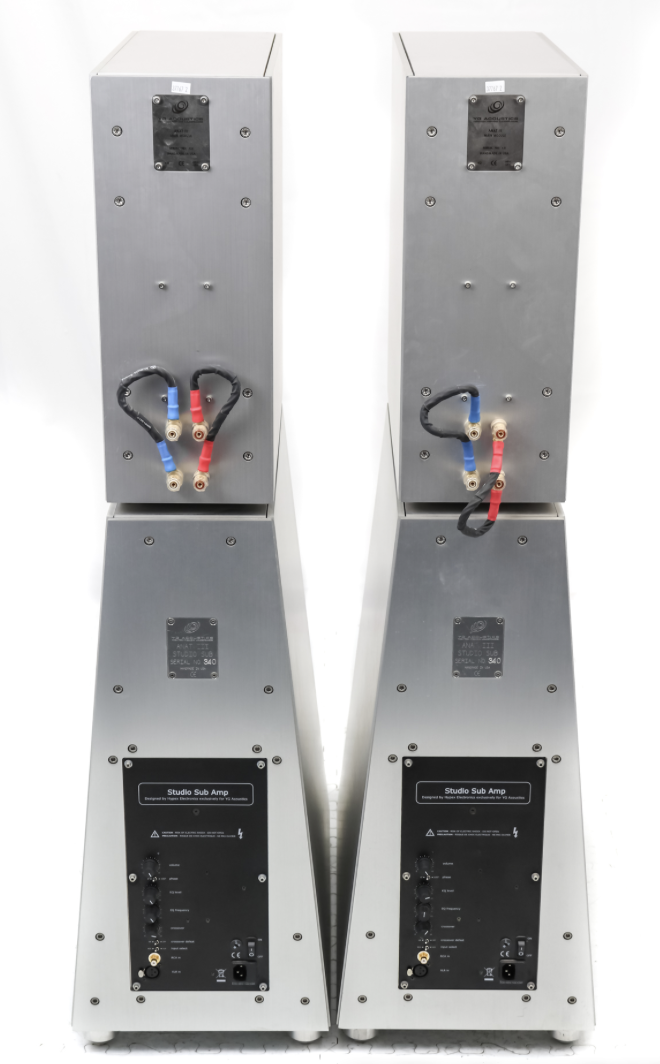 YG Acoustics Anat, 2008 год.